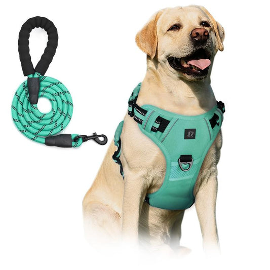 No Pull Dog Harness & Leash Set (2 Counts/Set), Escape Proof Reflective Adjustable Pet Vest, Soft Padded Pet Harness with Handle for Small to Large Dogs